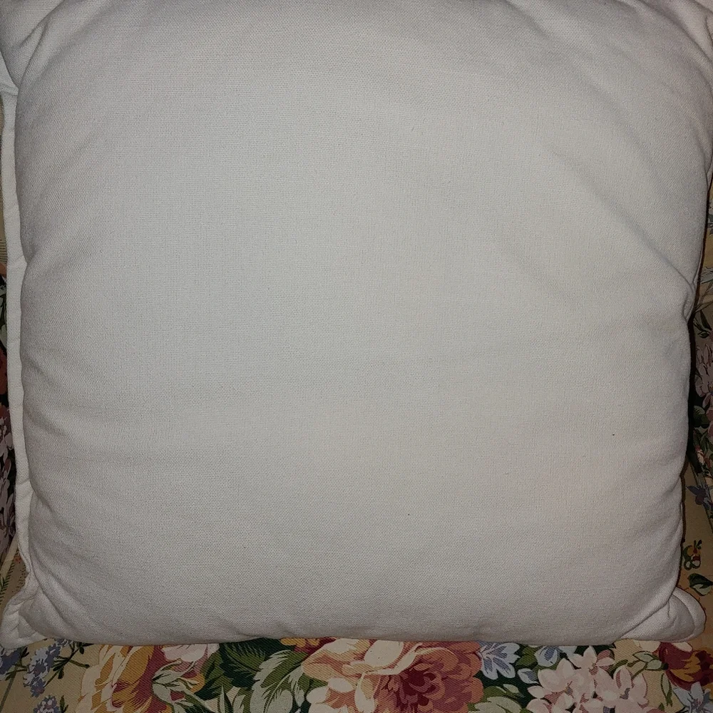Bear pillow. OBO